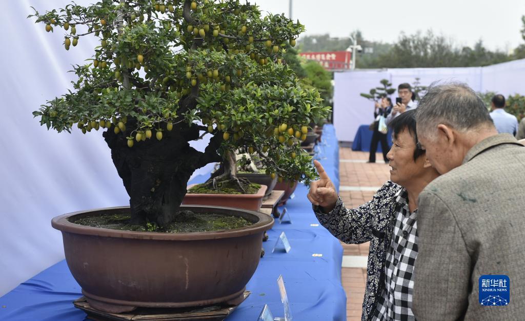 澳博app下载官方网站